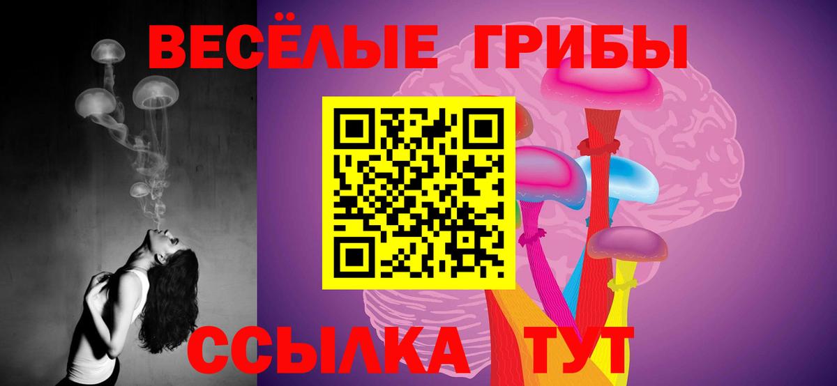 Псилоцибиновые грибы прущие грибы  Вход с VPN  Азнакаево 